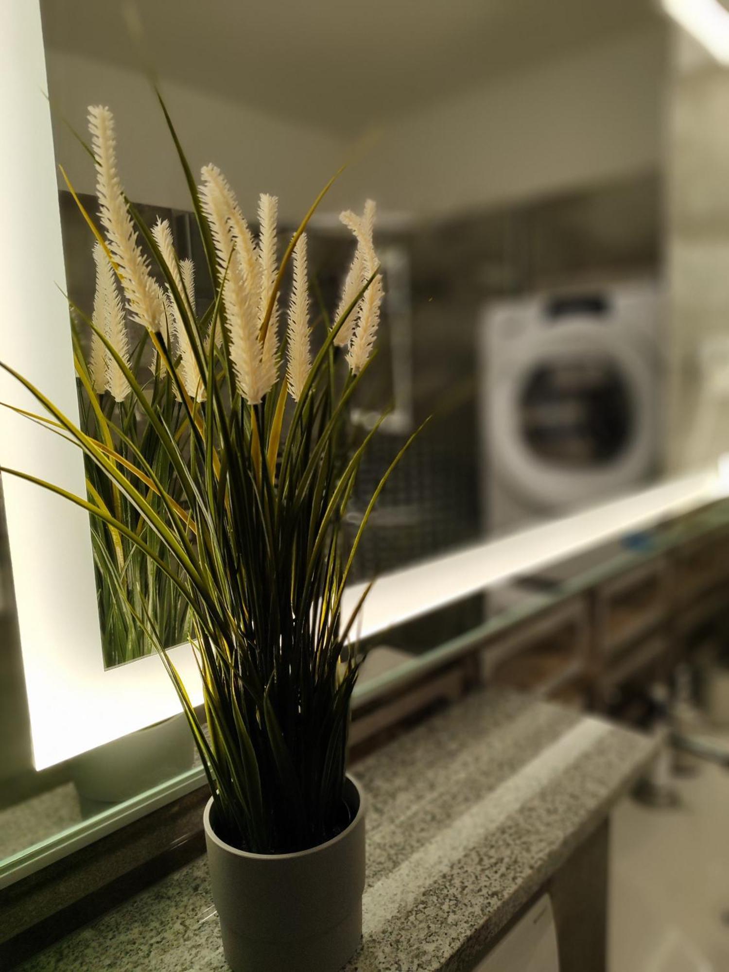 Apartment Selska *